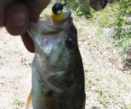 Outwest Campground & RV park