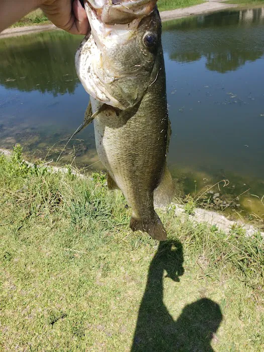 Outwest Campground & RV park Picture 8