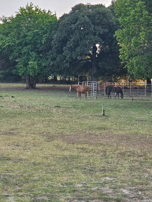 MIMOSA VALLEY RV PARK Decatur TX Gated LONG-TERM RV parking BY APPOINTMENT Picture 6