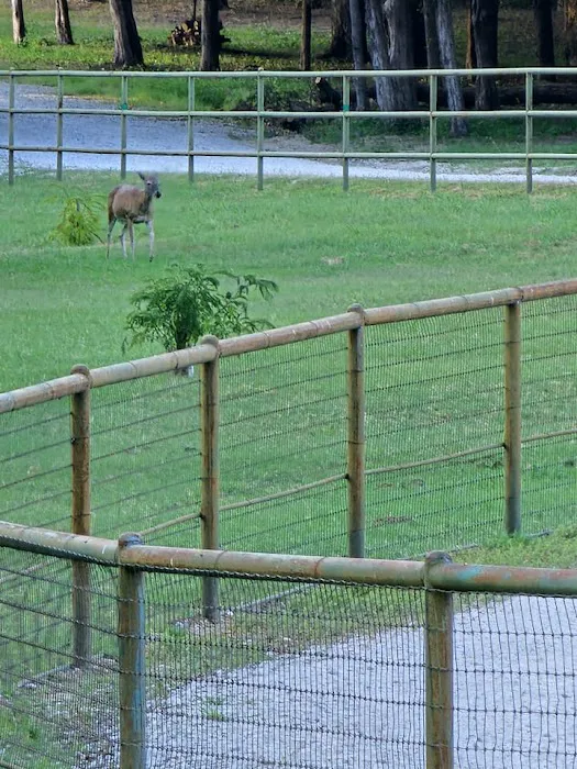 MIMOSA VALLEY RV PARK Decatur TX Gated LONG-TERM RV parking BY APPOINTMENT Picture 2