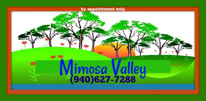 MIMOSA VALLEY RV PARK Decatur TX Gated LONG-TERM RV parking BY APPOINTMENT Picture 1
