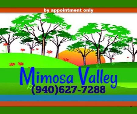 MIMOSA VALLEY RV PARK Decatur TX Gated LONG-TERM RV parking BY APPOINTMENT