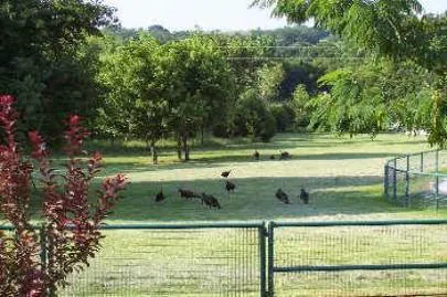 Double Duty Ranch RV Park Decatur TX (GATED) BY APPOINTMENT ONLY Picture 2