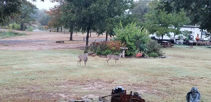 Brushy Creek RV Park Picture 2