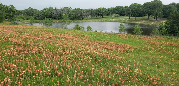 Brushy Creek RV Park Picture 8