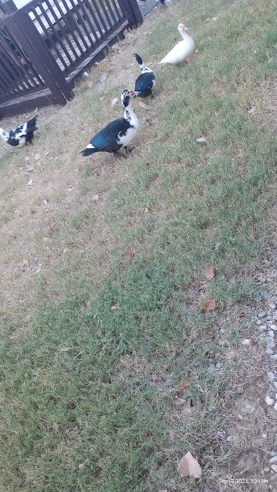 Boyd RV Park Picture 8