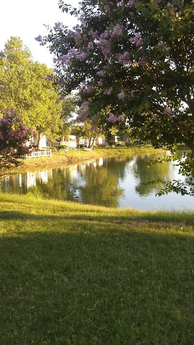 Boyd RV Park Picture 6