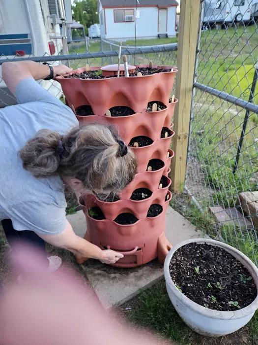 Boyd RV Park Picture 7