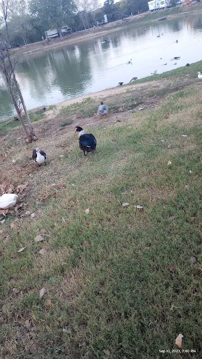 Boyd RV Park Picture 9