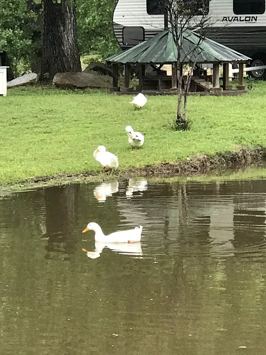 Stone Ridge RV Park Picture 5