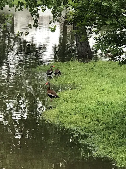 Stone Ridge RV Park Picture 7