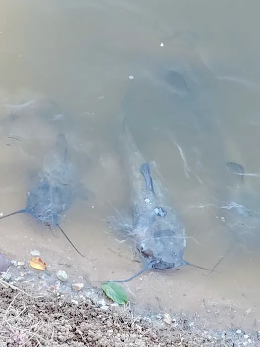 Quail Ridge RV Park Picture 1