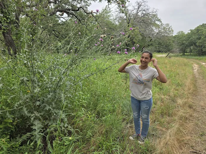 Natural Creek RV Park Picture 8