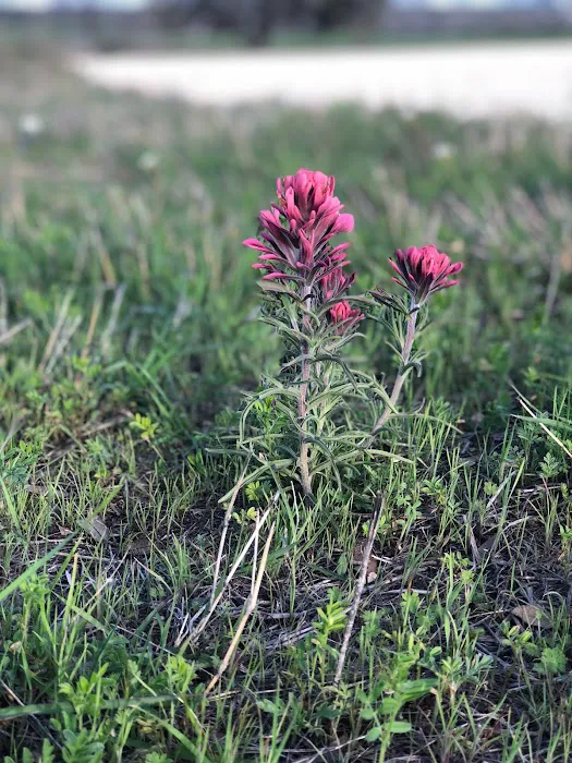 Stephenville Texas RV Park Picture 4