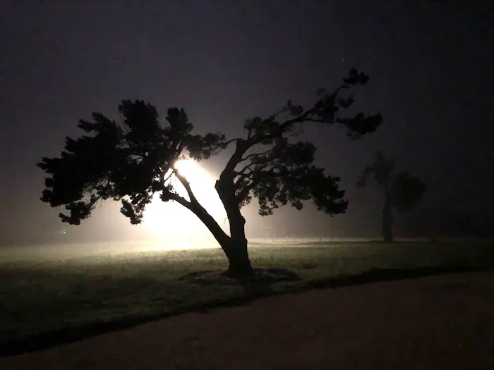 Stephenville Texas RV Park Picture 3