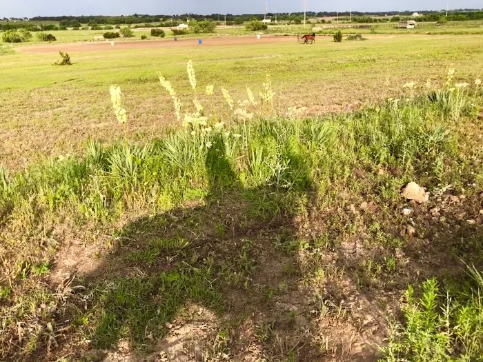 Stephenville Texas RV Park Picture 6