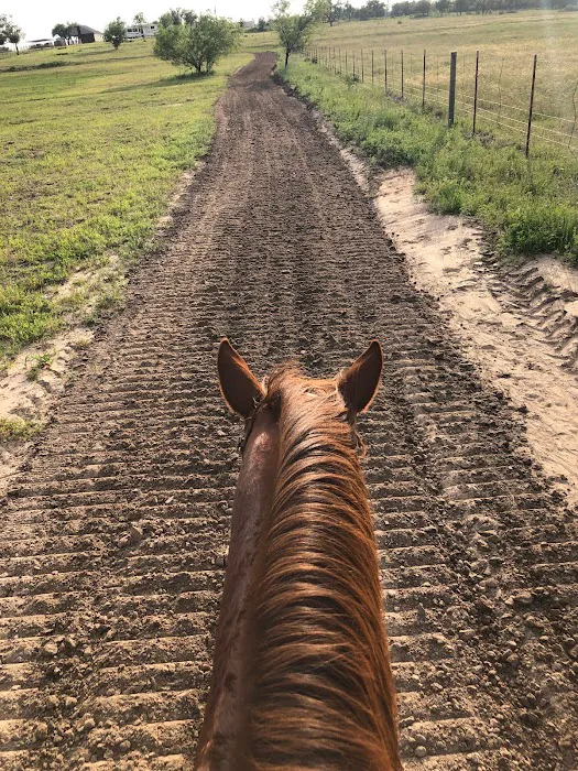 Stephenville Texas RV Park Picture 10
