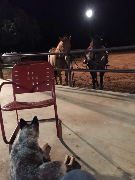 4C's Rodeo Ranch & RV Park Picture 8