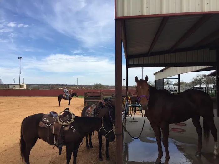 4C's Rodeo Ranch & RV Park Picture 3