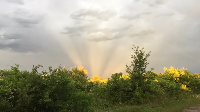 Getaway RV Park Picture 7