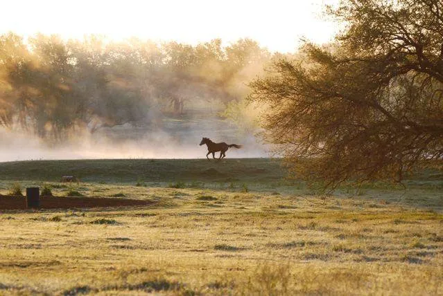 Hoof Prints Ranch Picture 1