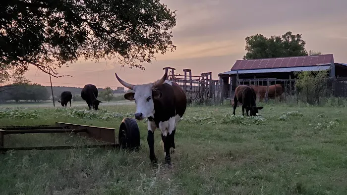 Coffee Creek RV Resort and Cabins Picture 7