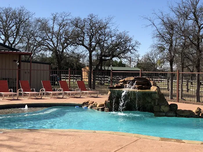 Texas Star RV Resort Picture 2