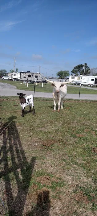 Red River Ranch Rv Resort Picture 10