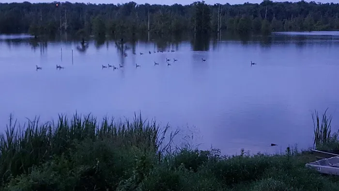 Darrell Brannon RV Park Picture 4