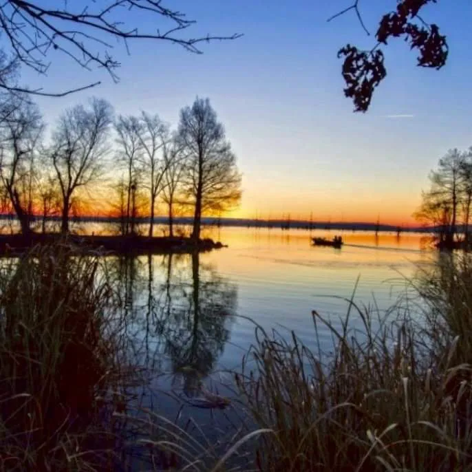 Gold Creek Landing RV Park Picture 3