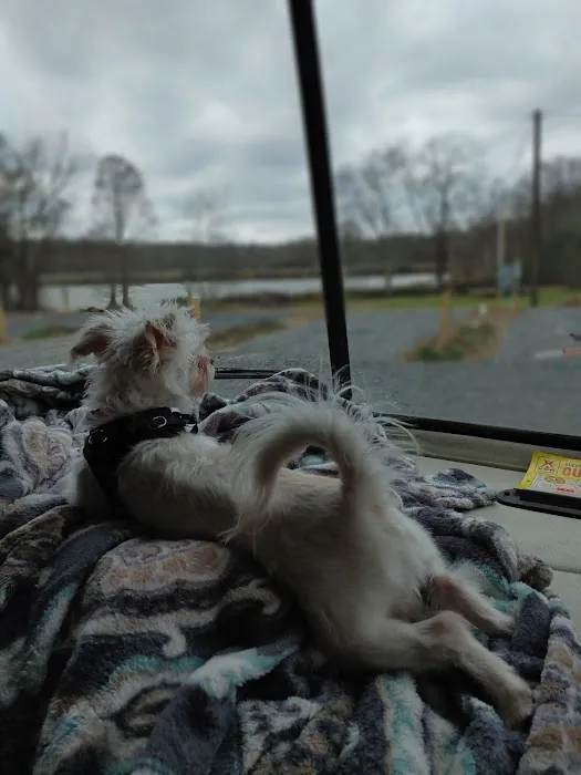 Gold Creek Landing RV Park Picture 1