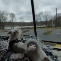 Gold Creek Landing RV Park ico