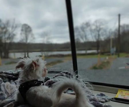 Gold Creek Landing RV Park