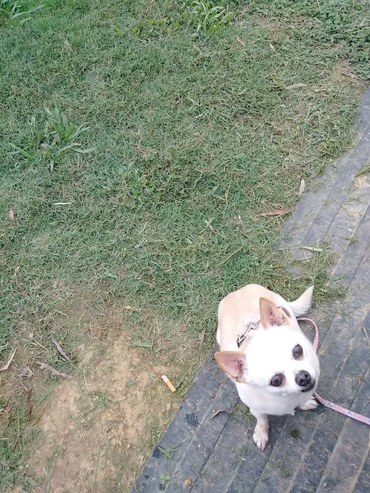 Cabot RV Park Picture 6