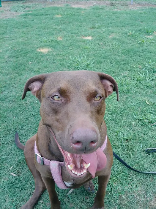 Cabot RV Park Picture 9