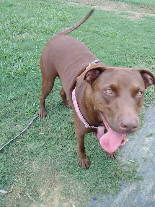 Cabot RV Park Picture 8