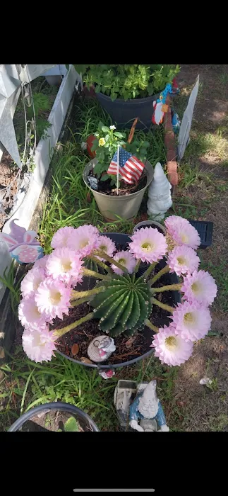 Chaparral RV Park Blessing Picture 4