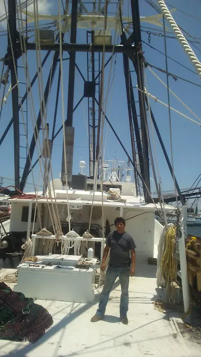 Corral RV Park Picture 4