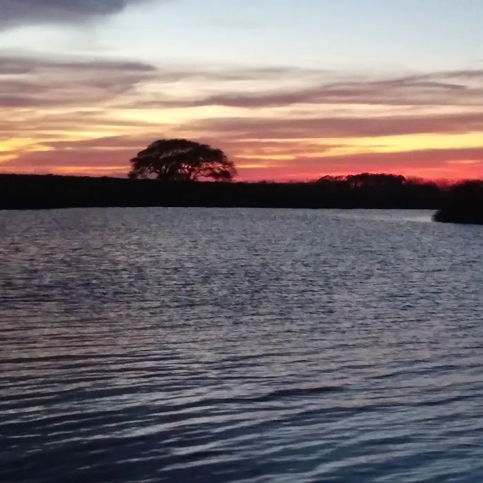 Dolphin Cove RV Park Picture 6