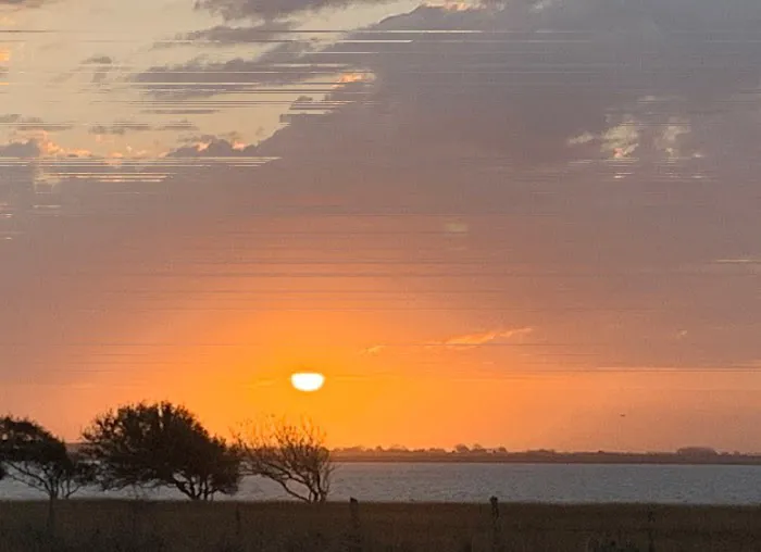 Dolphin Cove RV Park Picture 4