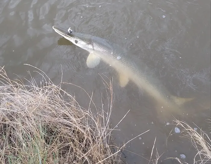 Dolphin Cove RV Park Picture 5