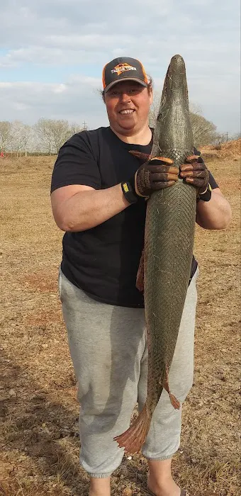 Dolphin Cove RV Park Picture 1