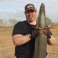 Dolphin Cove RV Park ico