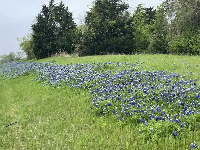 Dolphin Cove RV Park Picture 7