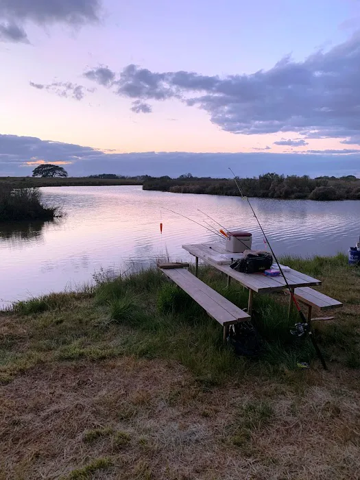 Dolphin Cove RV Park Picture 8