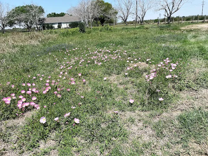 Dolphin Cove RV Park Picture 10