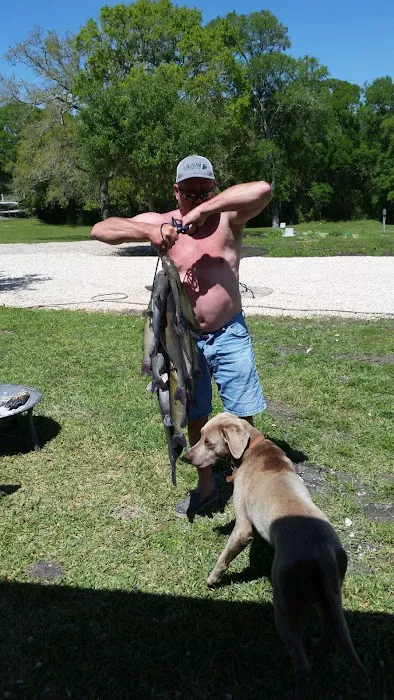 Harv's Paradise RV Oasis on the River Picture 3