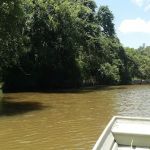 Harv's Paradise RV Oasis on the River