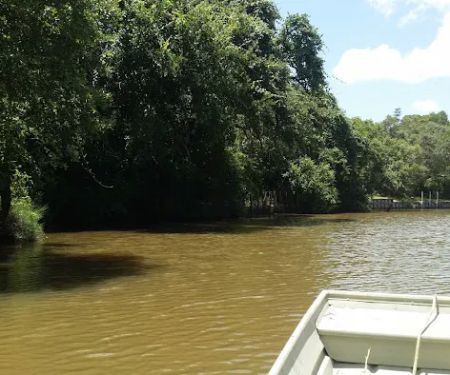 Harv's Paradise RV Oasis on the River