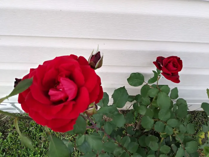 Branch Creek Picture 2